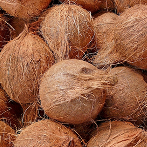Saison Organic Coconut Skincare