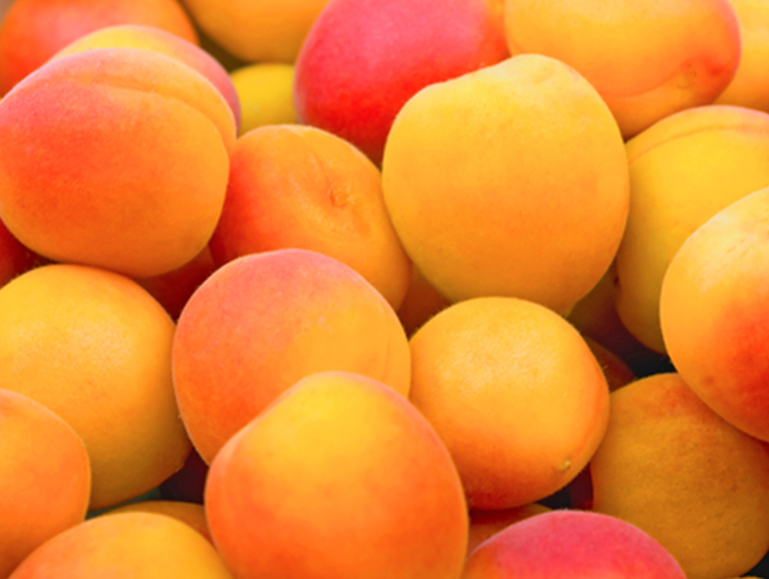 Saison Organic Skincare Ingredients Apricot